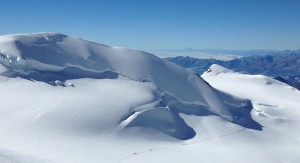 IMG_0416